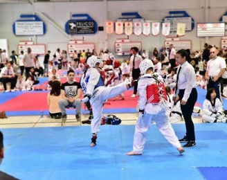 Lims Taekwondo